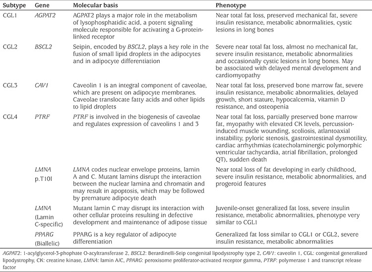 graphic file with name JCRPE-12-17-g1.jpg