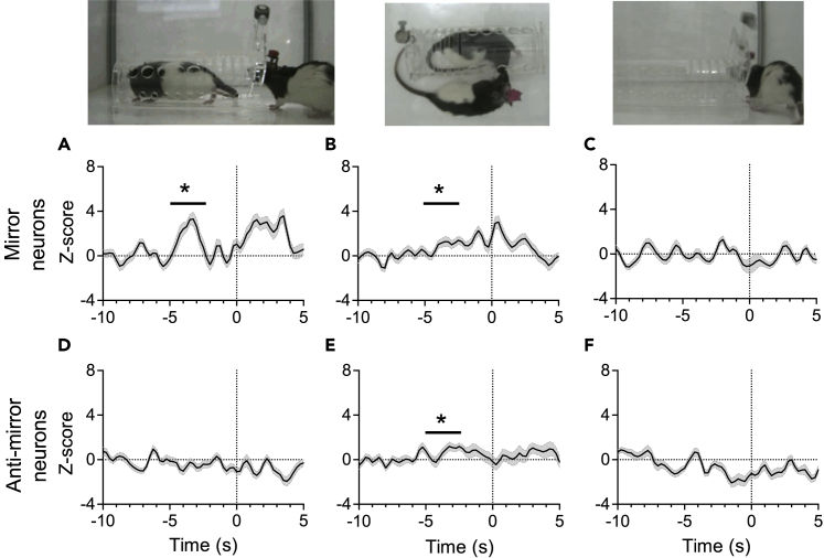 Figure 7