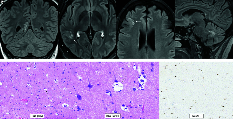 FIG 9.