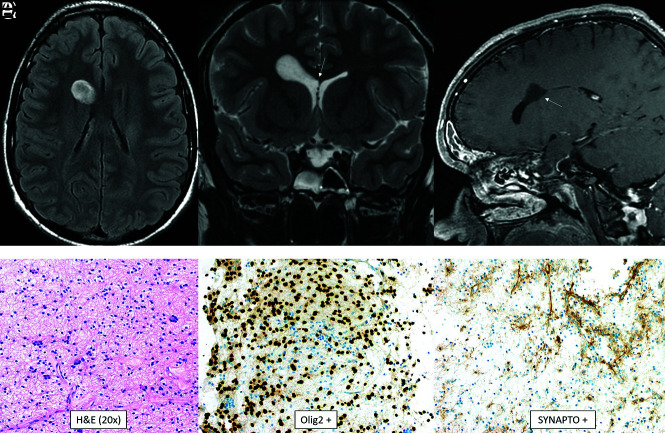 FIG 8.