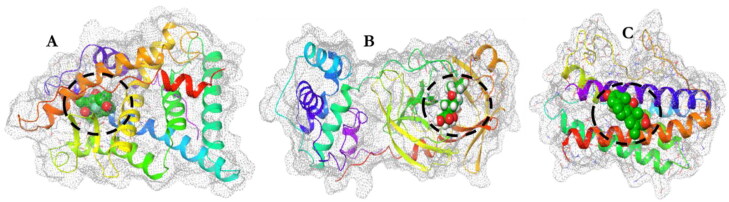 Figure 2.