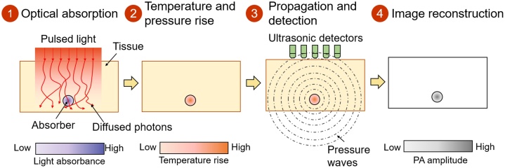 Fig. 1