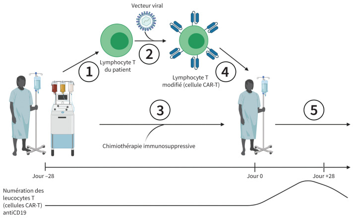 Figure 1: