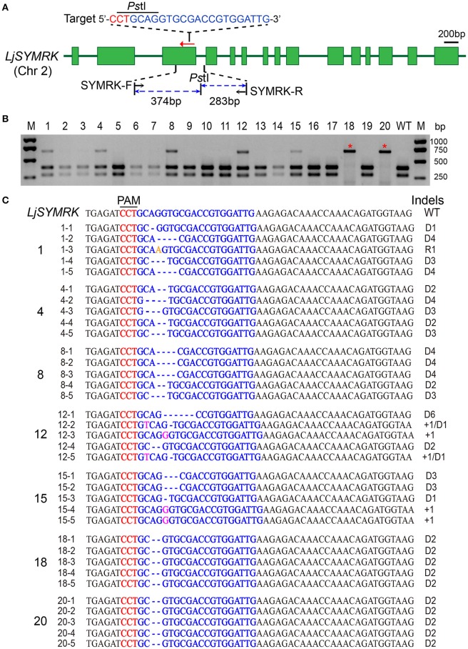 Figure 2