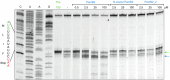 Extended Data Fig. 2