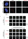 FIGURE 6: