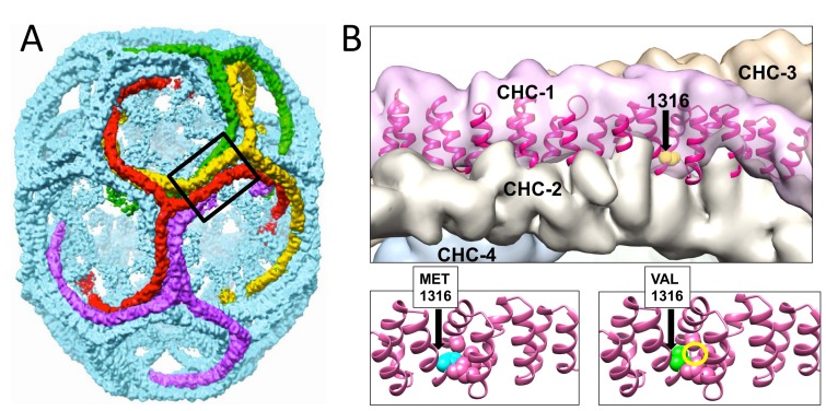 Figure 6.