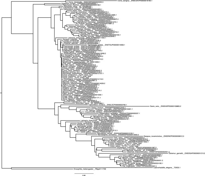 Figure 1—figure supplement 2.