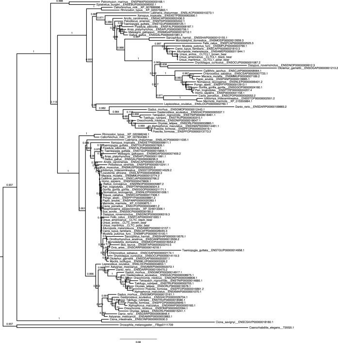 Figure 1—figure supplement 1.