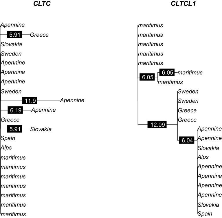 Figure 3—figure supplement 1.