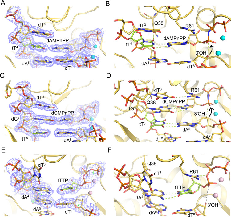 Figure 4