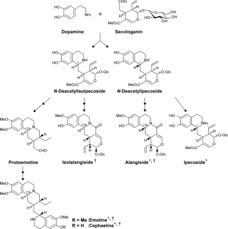 FIGURE 1.