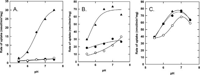 FIGURE 7.