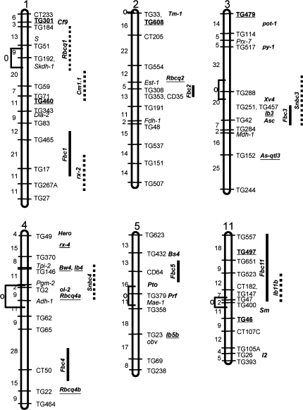 Fig. 5