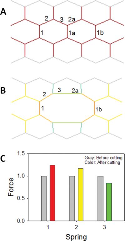 FIGURE 1