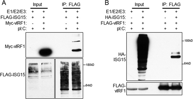 FIG 5