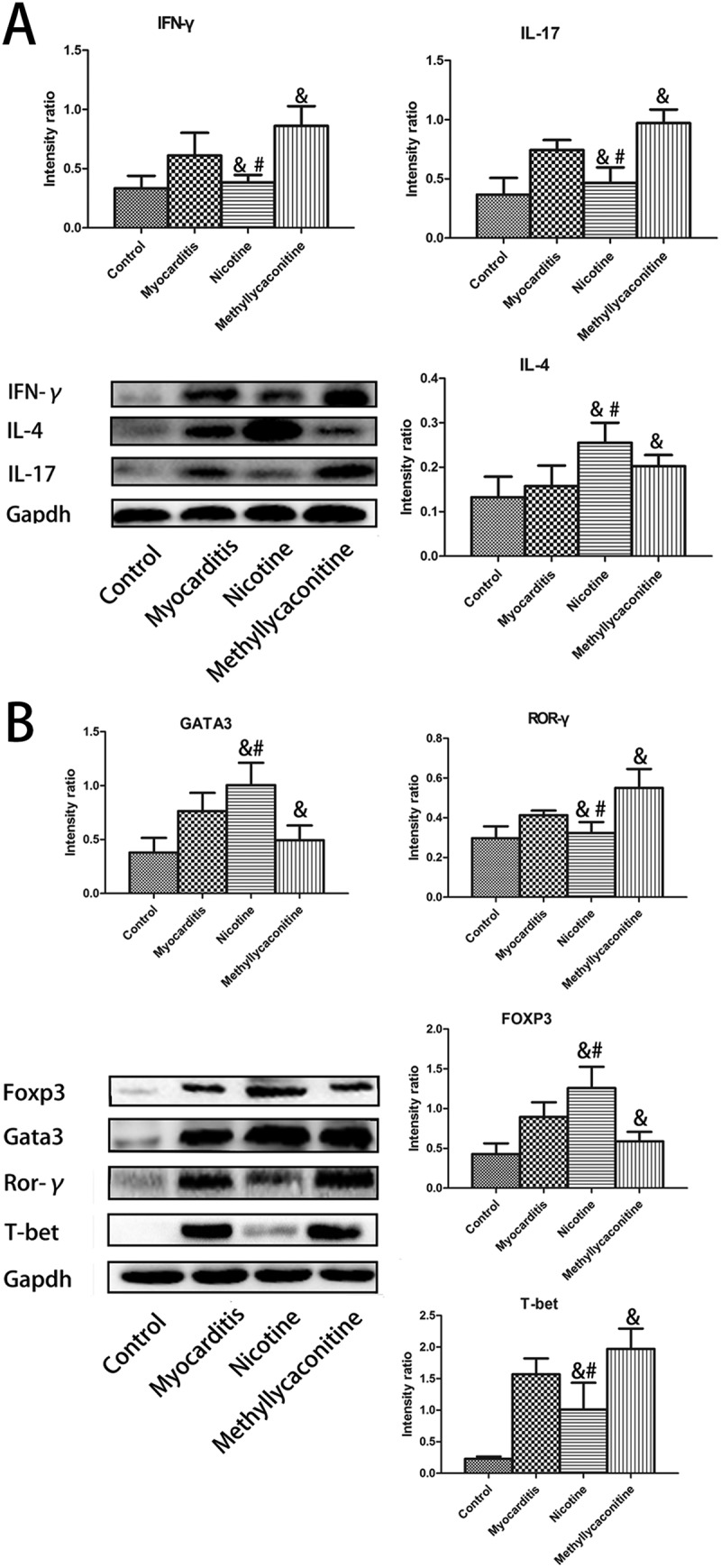 Figure 6.