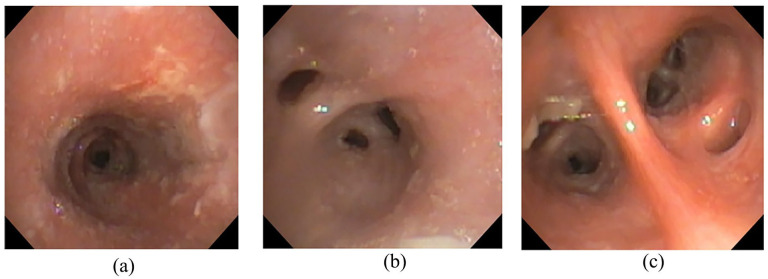 Figure 3.