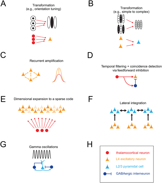 Figure 2: