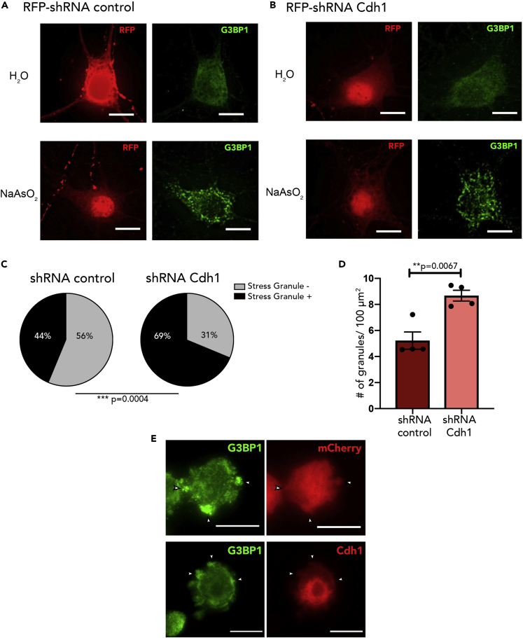 Figure 3