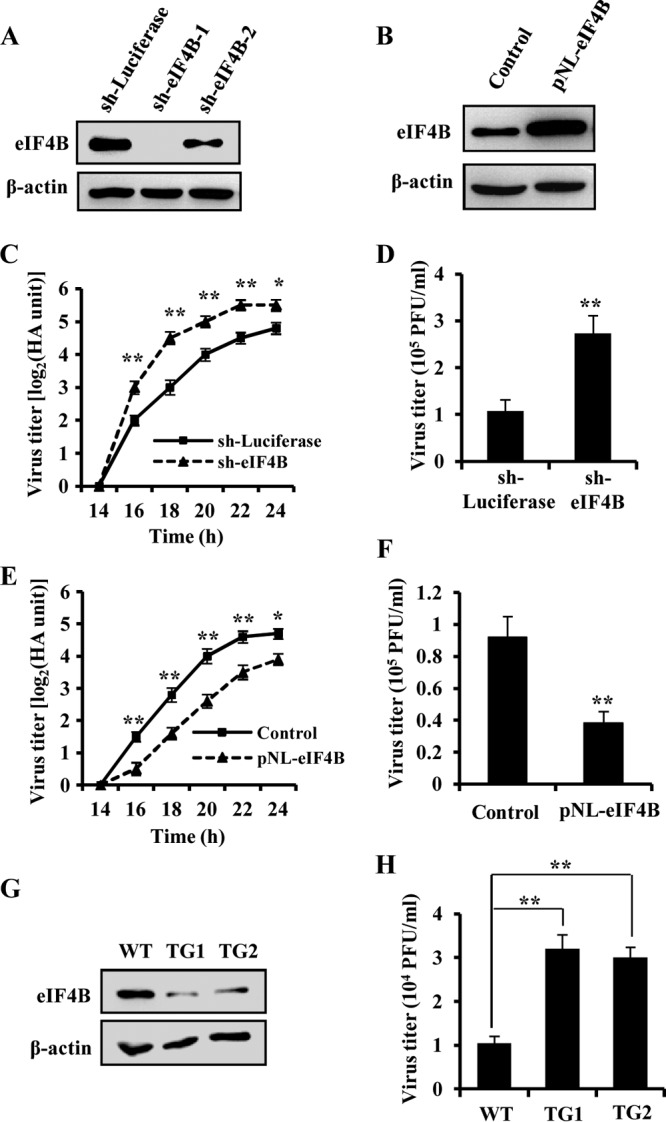 FIG 4