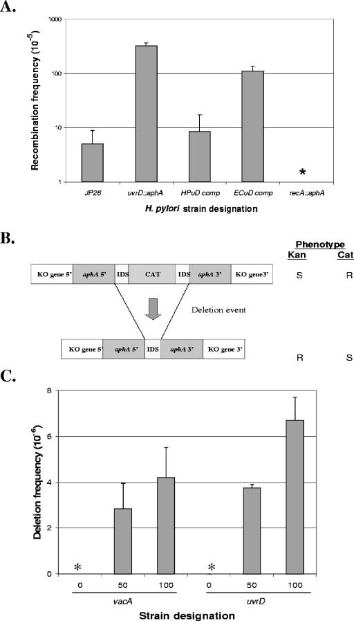 FIG. 4.