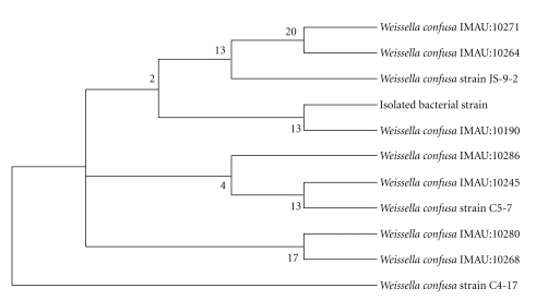 Figure 4