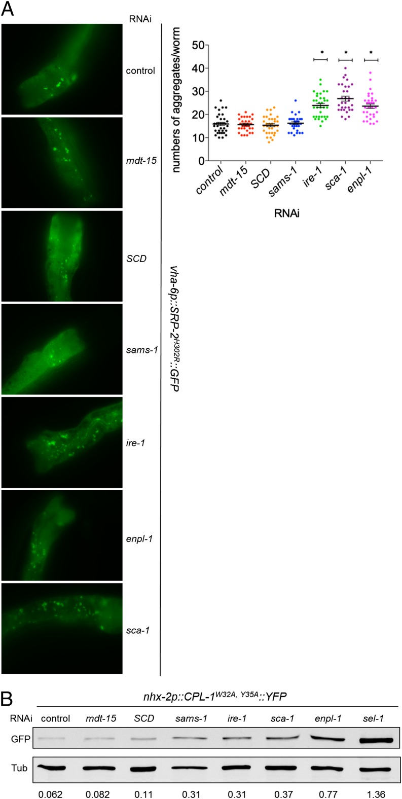 Fig. 5.