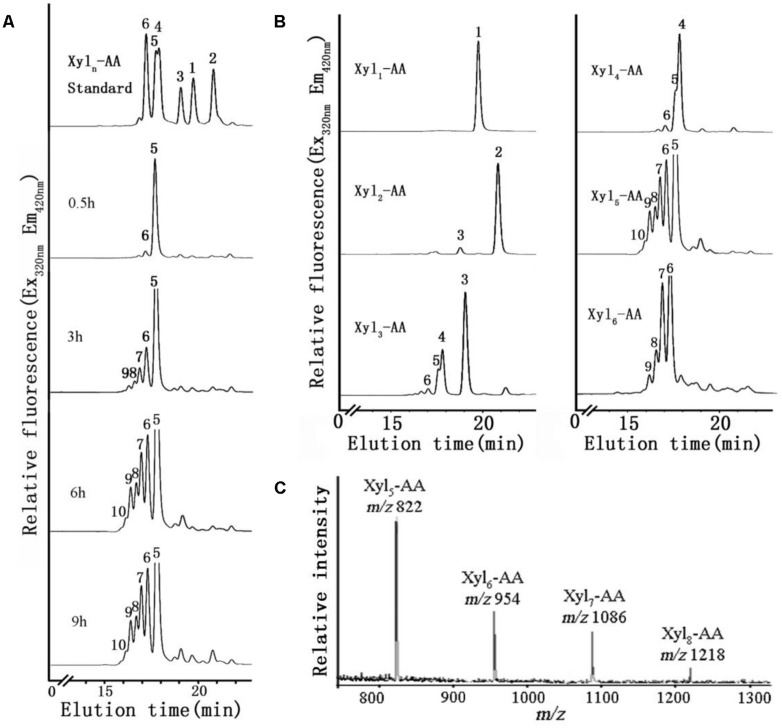 Biochemical and molecular changes associated with heteroxylan ...