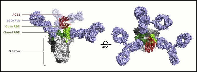 Figure 3