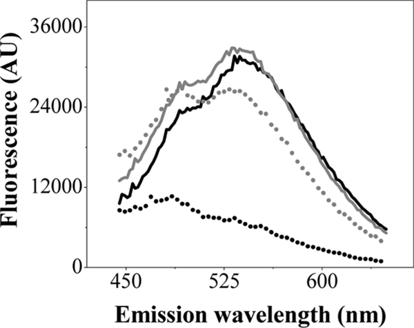 FIG. 1.