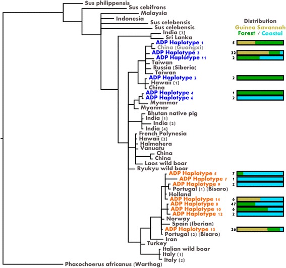 Fig. 2