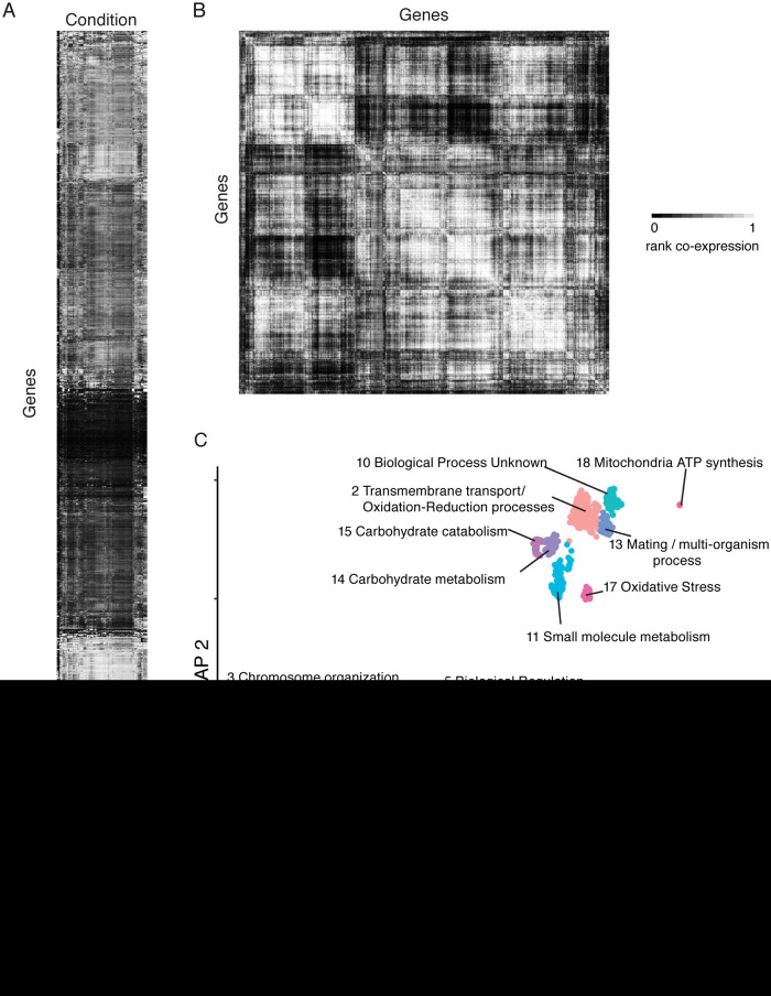 FIG 1