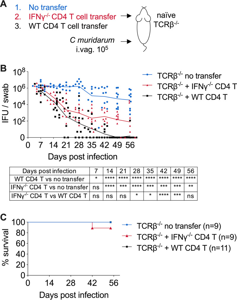 FIG 4