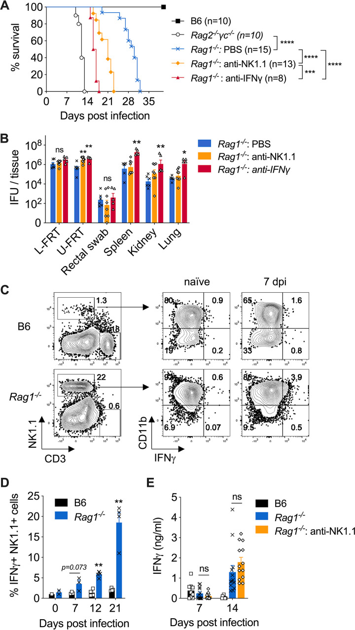 FIG 3