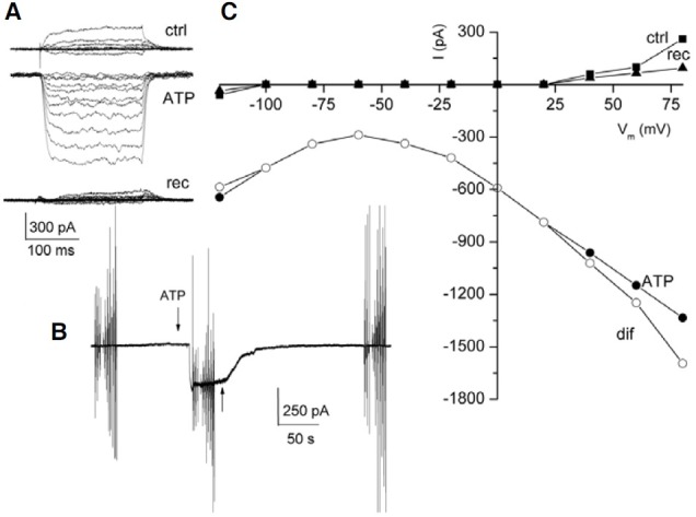 Fig. 5.