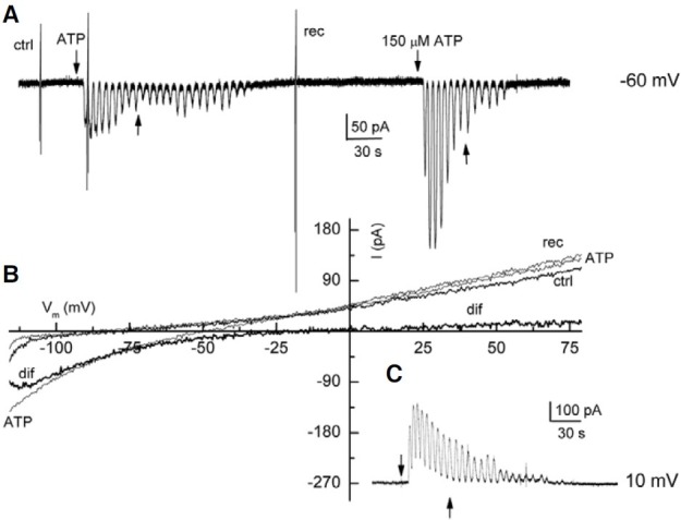 Fig. 4.