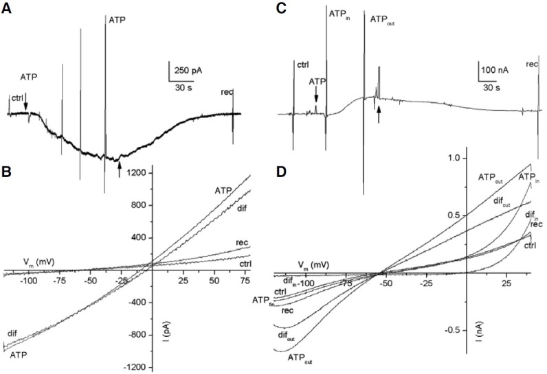 Fig. 2.