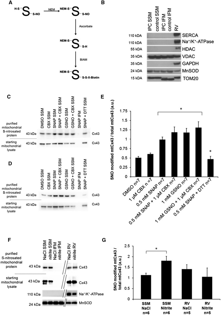 Fig. 6