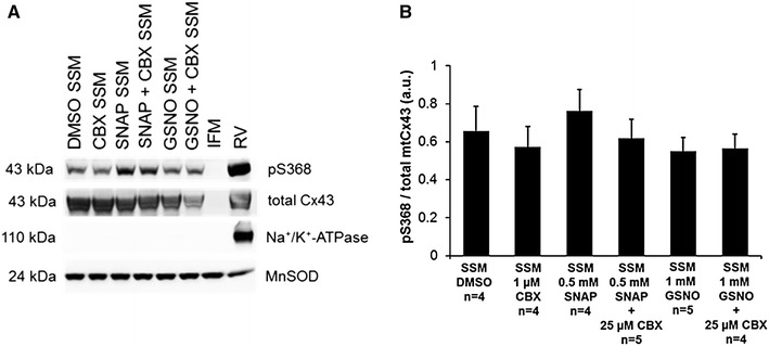 Fig. 8