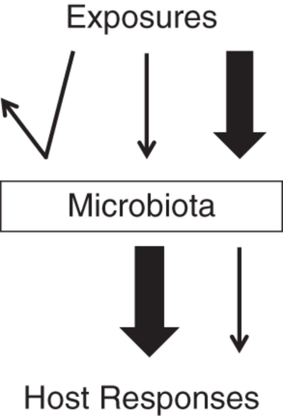 Figure 2.