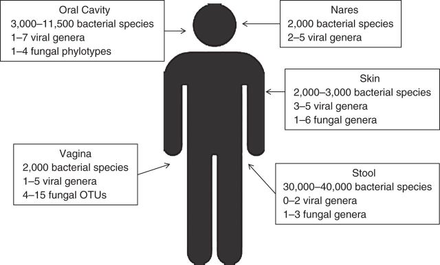 Figure 1.