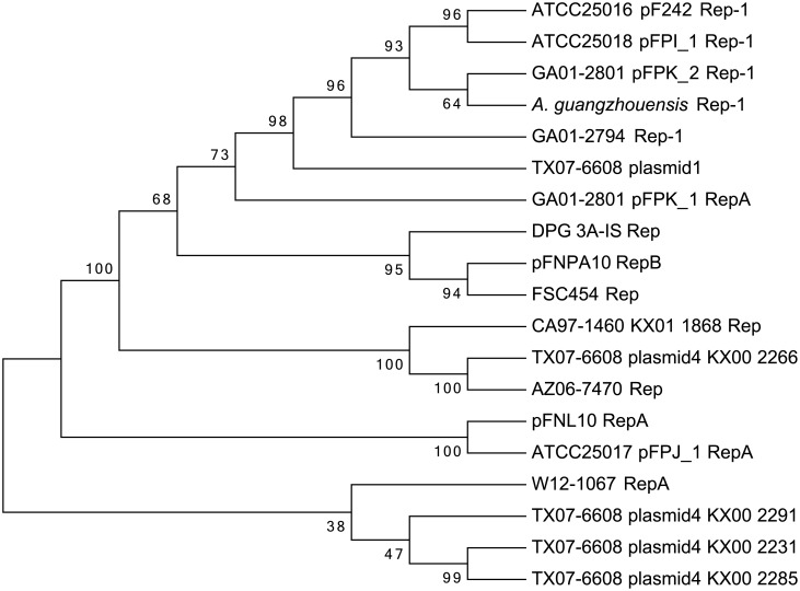 Fig 4