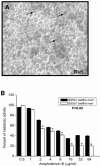 FIG.9.