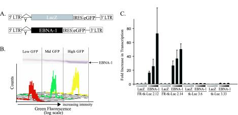 FIG. 2.