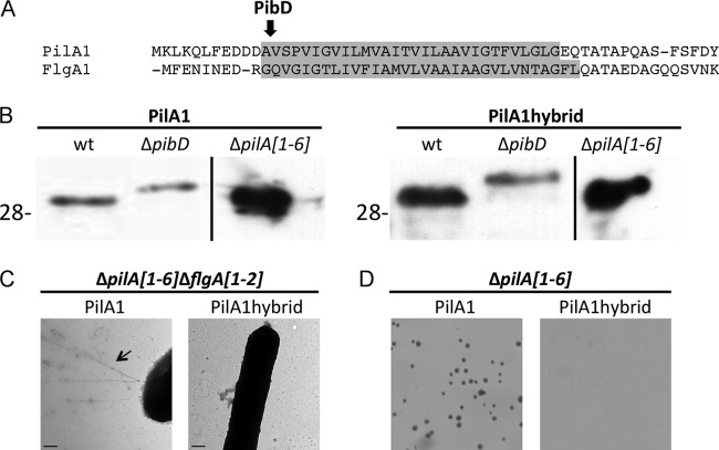 Fig 9