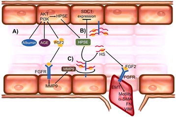 Figure 3