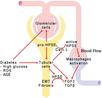 Figure 4