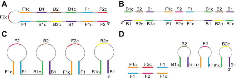 Fig. 2
