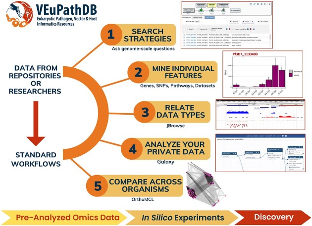 Graphical Abstract